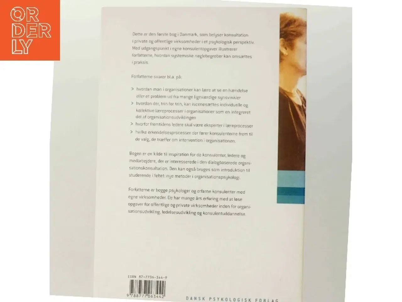 Billede 3 - Konsultation i organisationer : hvordan mennesker skaber ny mening (Bog)