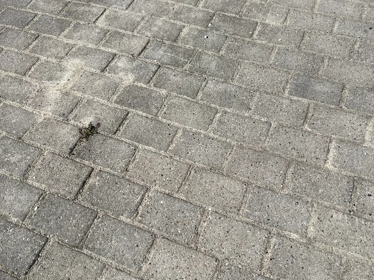 Billede 2 - Herregårdsfliser