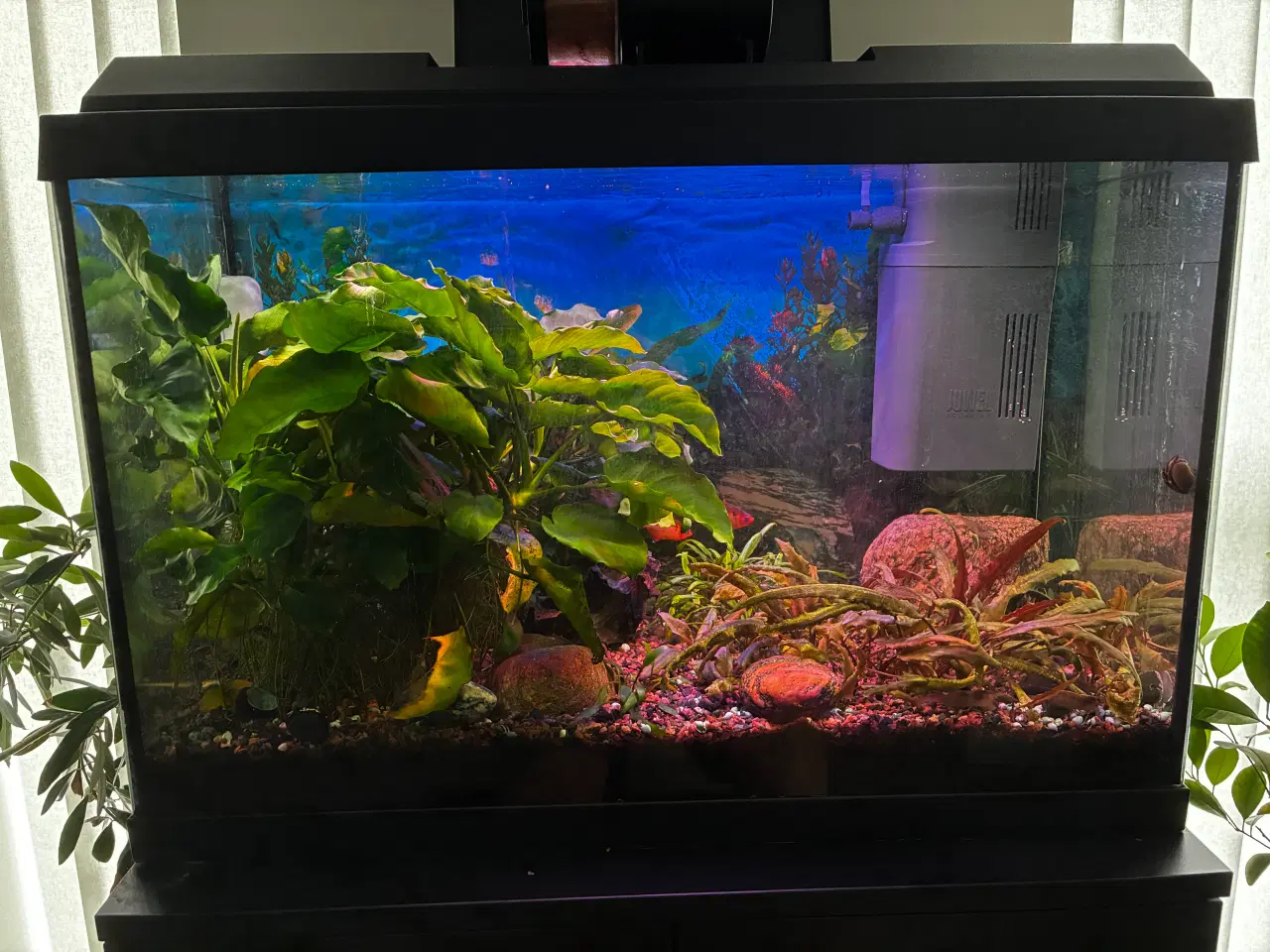Billede 1 - Akvarier 70 l