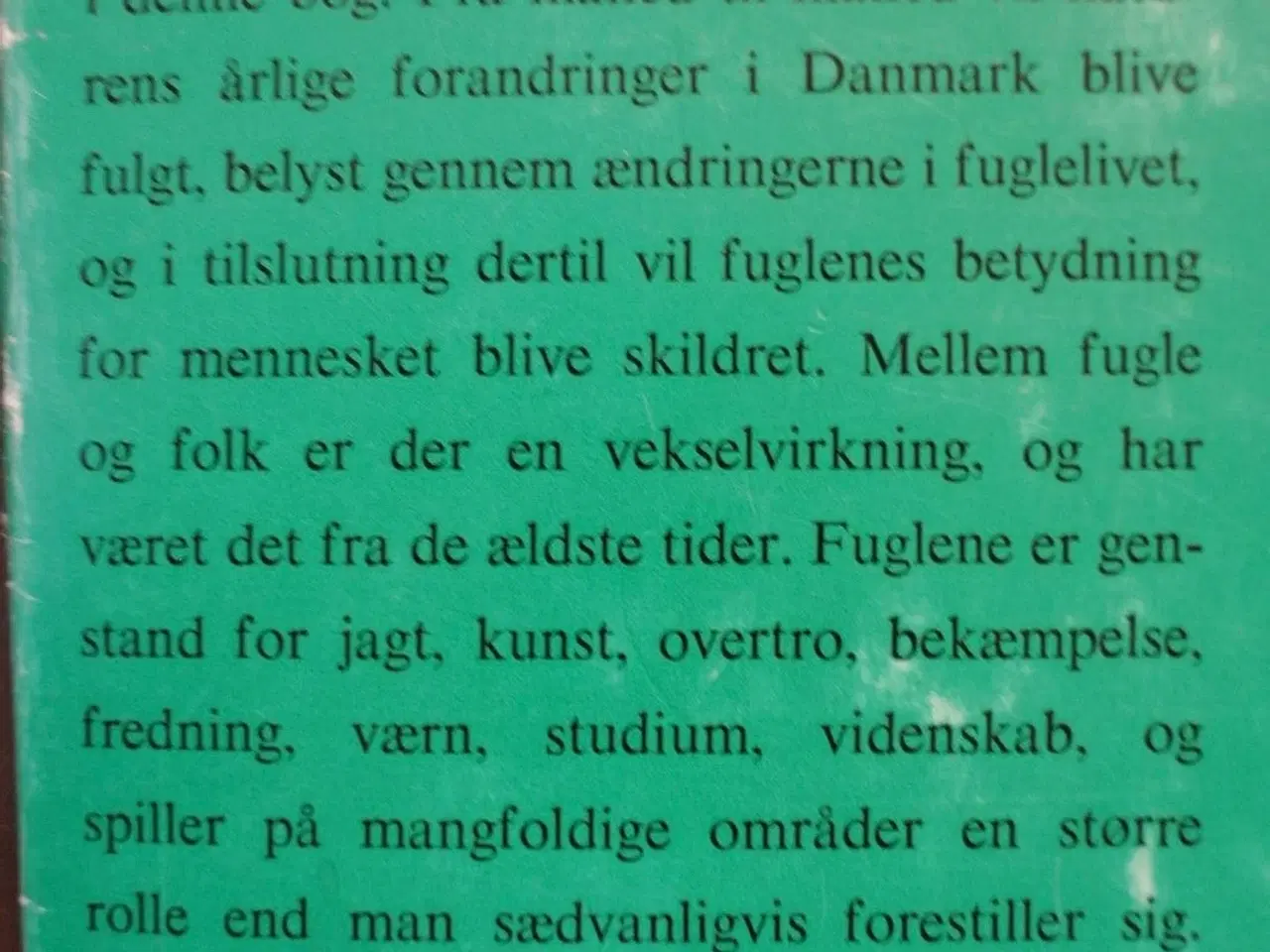 Billede 2 - fugle og folk, af finn salomonsen, emne: dyr