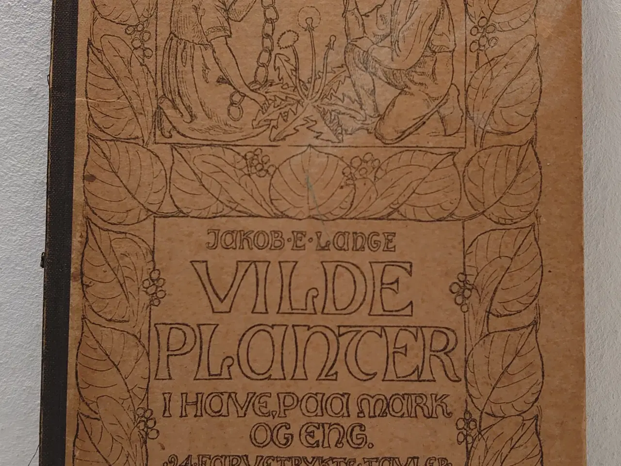 Billede 1 - J. E. Lange: Vilde Planter i Have,Paa Mark og Eng.