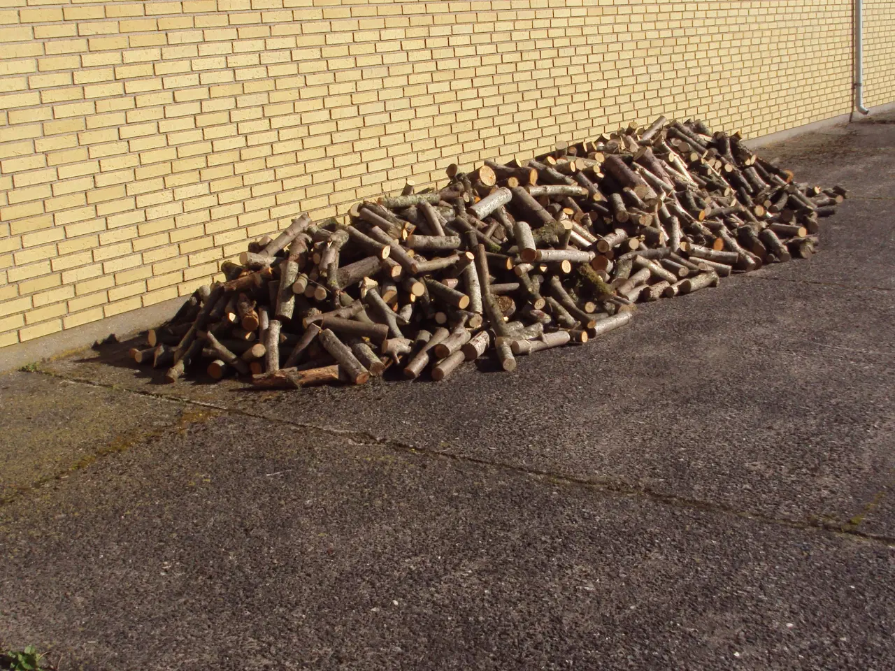 Billede 1 - Brænde , bl. løv .