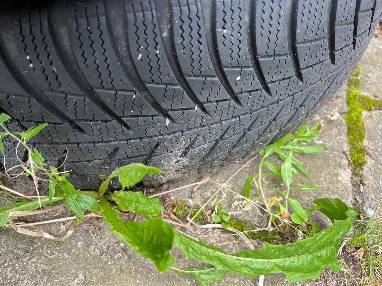 Billede 3 - Vinterdæk på stålfælge med Tpms ventiler