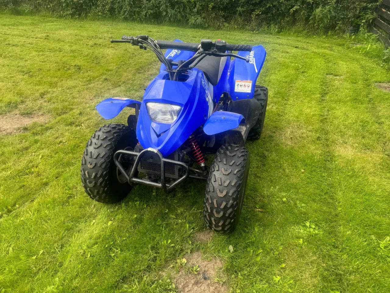 Billede 1 - Apex 100cc ATV 