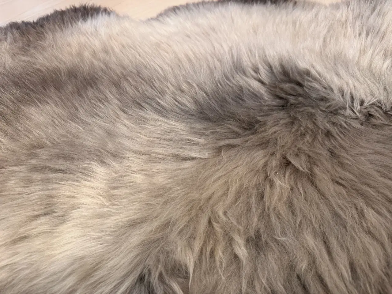 Billede 3 - Lammeskind 