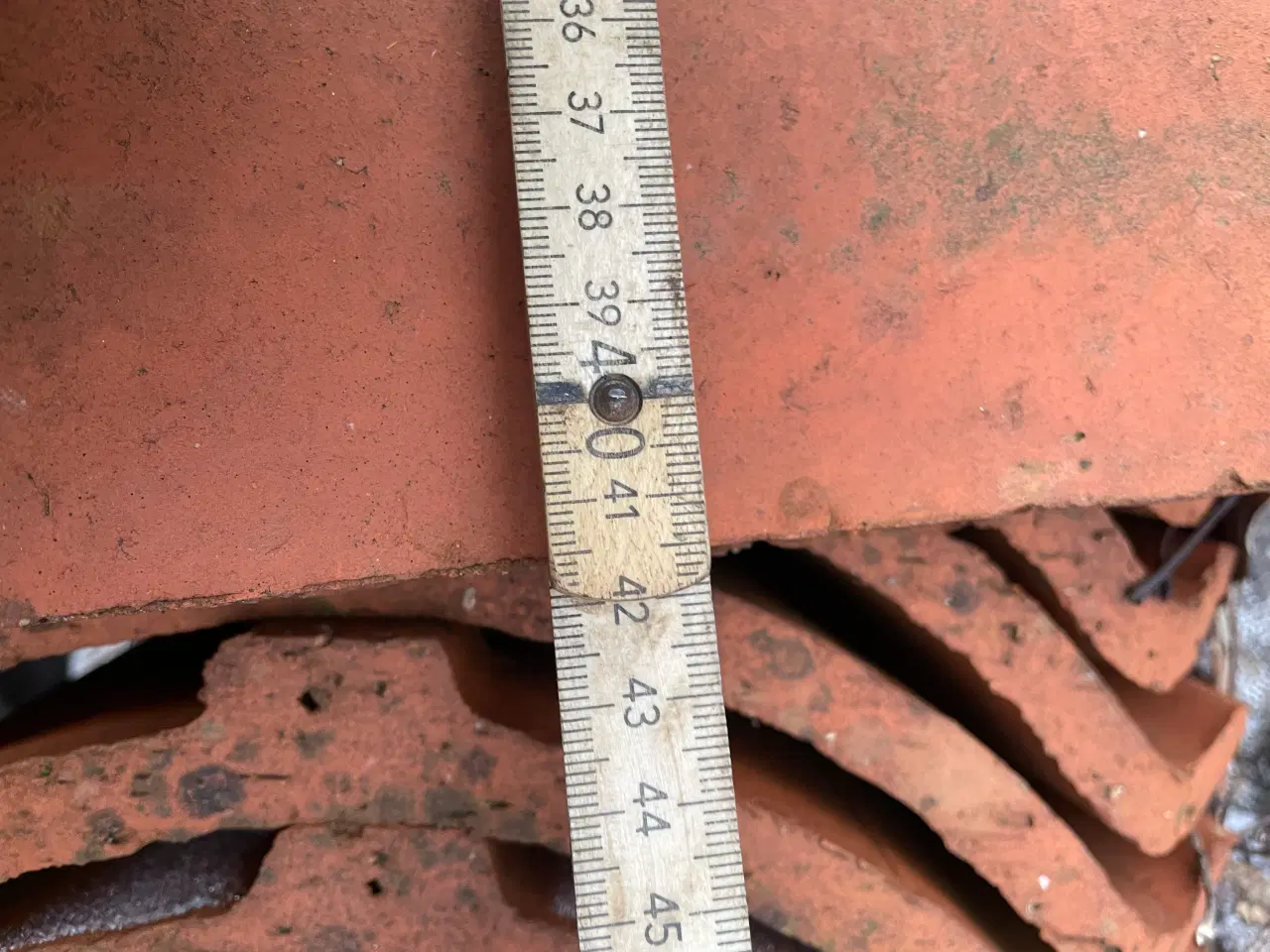 Billede 5 - Dansk vengetegl 