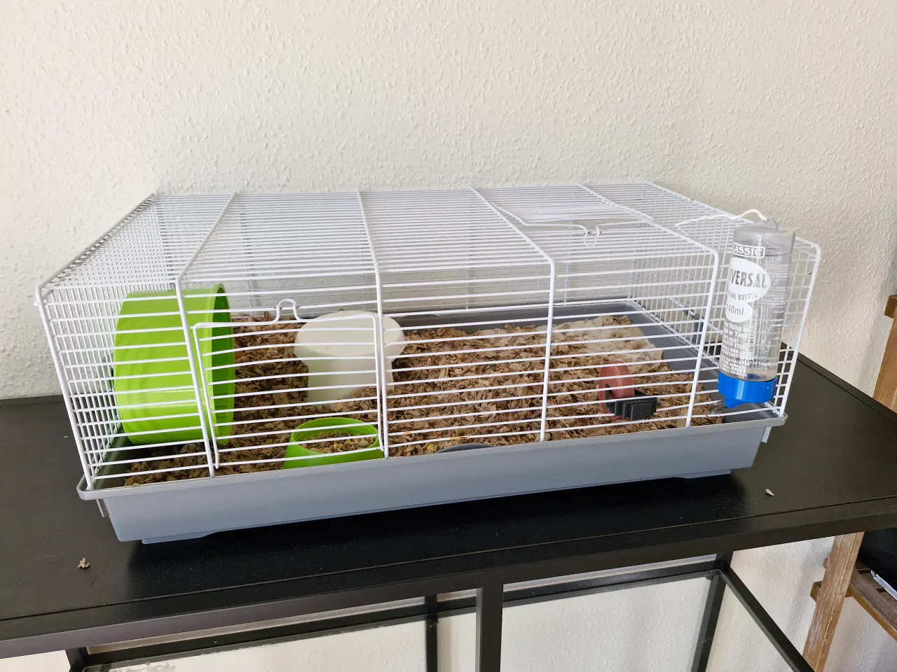 Billede 10 - Guldhamster ca 9 måneder gammel. Han hedder Martin