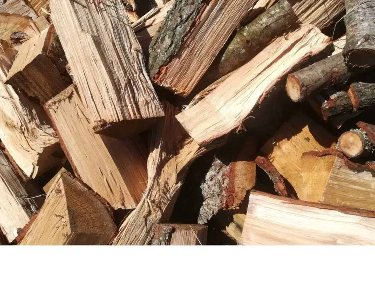 Billede 1 - Brænde, nyskovet træ