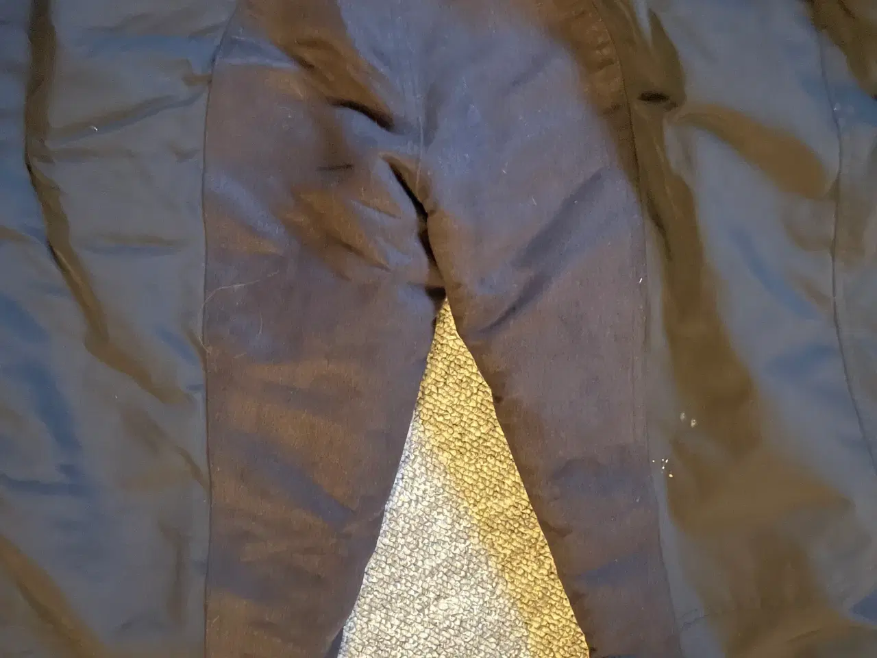 Billede 2 - Vinter ridebuks