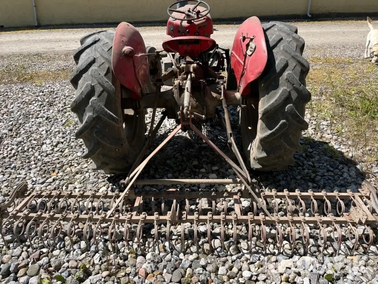 Billede 4 - Veterantraktor Massey Ferguson 35