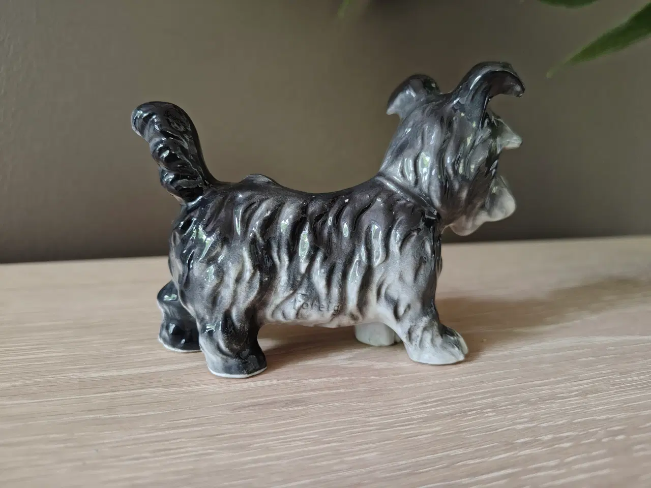 Billede 3 - Fin lille tysk porcelænshund