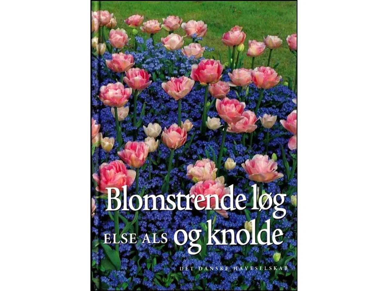 Billede 1 - Blomstrende Løg og Knolde