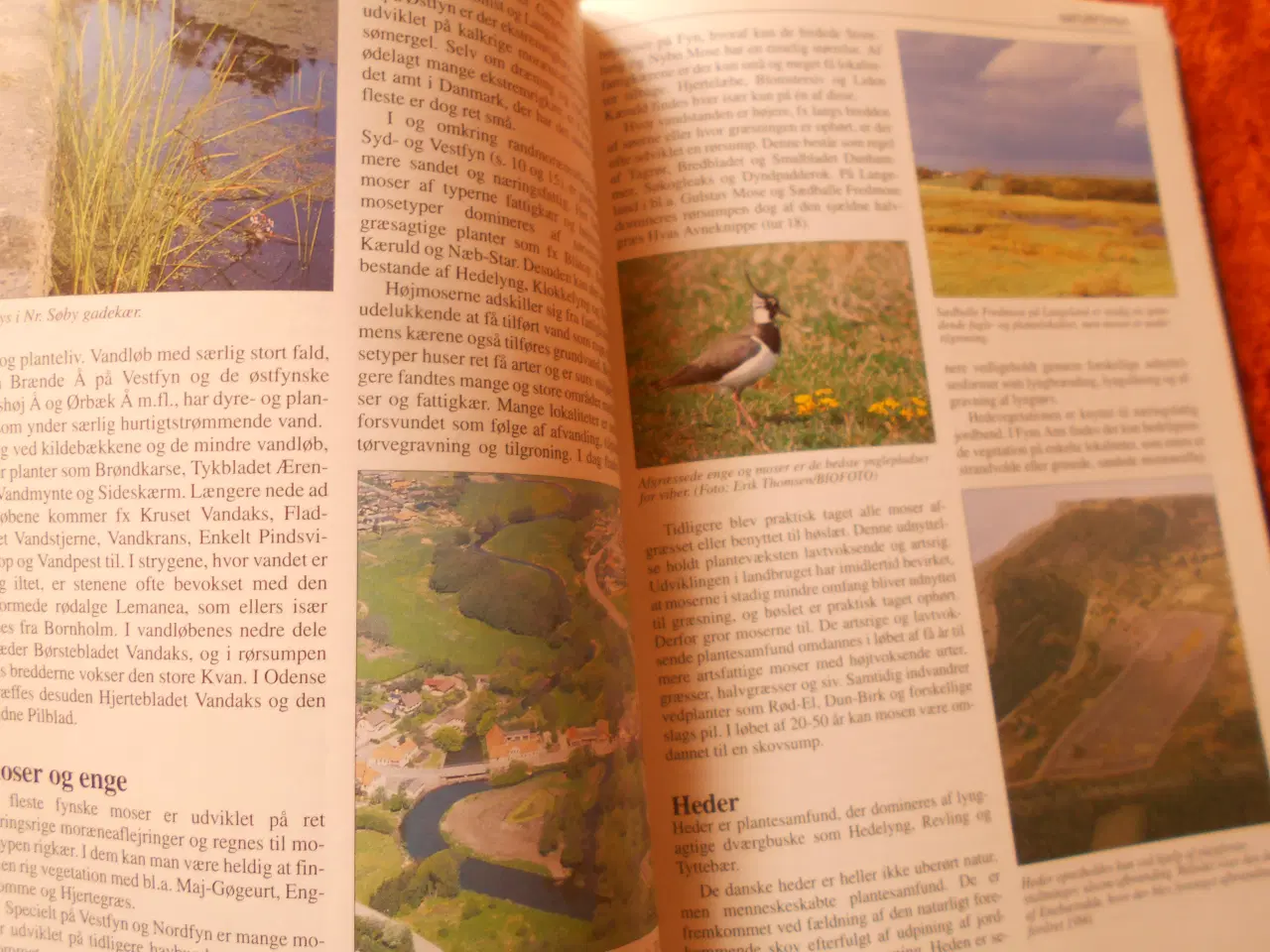 Billede 3 - På strejftog i fynsk natur, Fyns Amt,