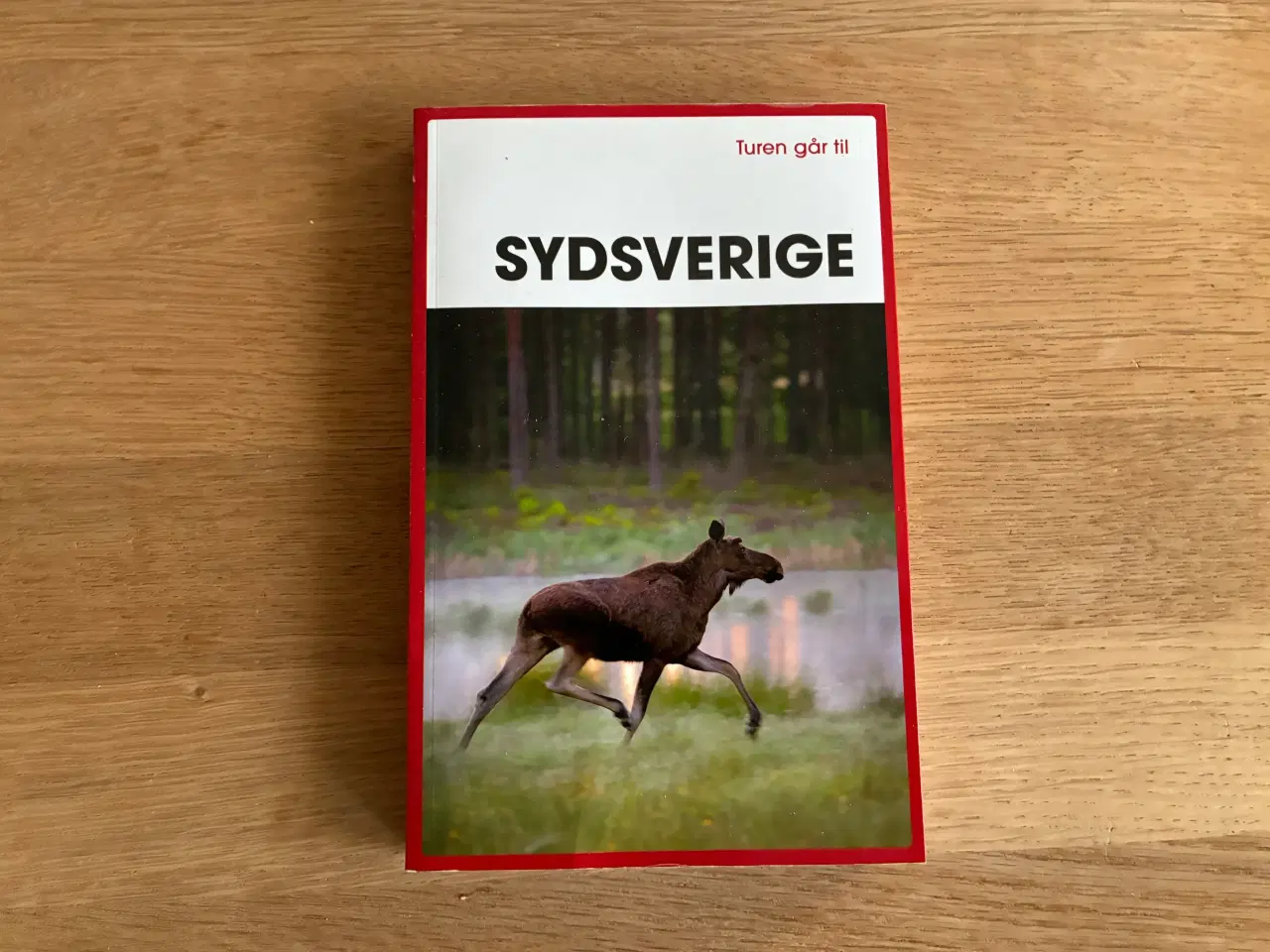 Billede 1 - Turen går til Sydsverige
