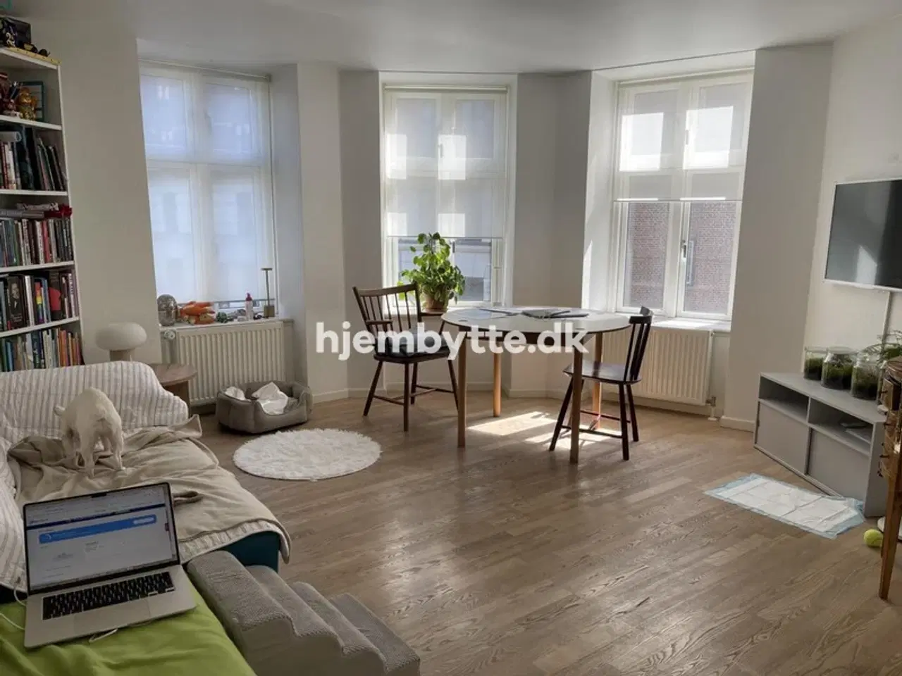 Billede 1 - Hjembytte - Stefansgade