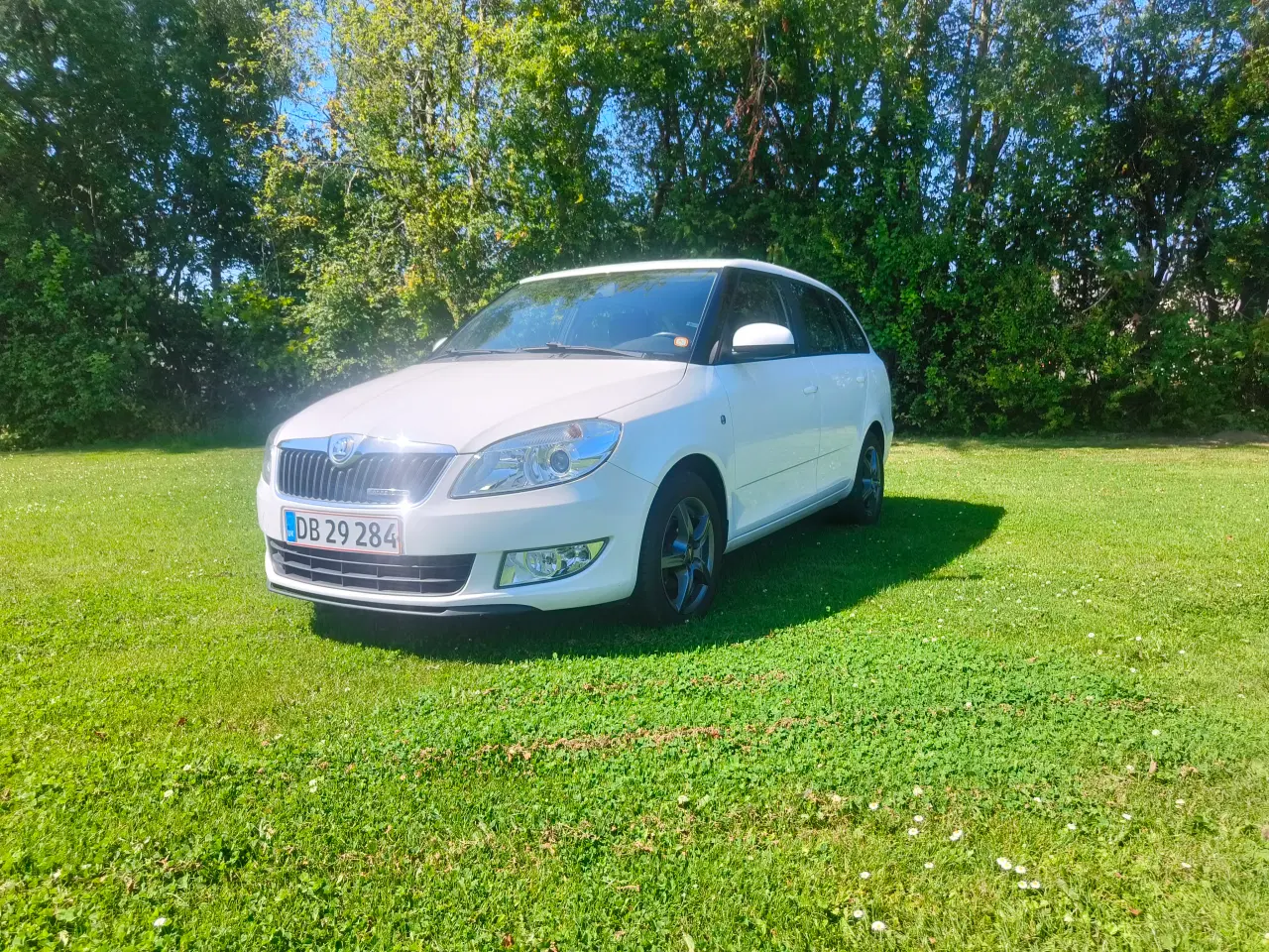 Billede 1 - Skoda Fabia 1,2 tdi greenline 2013 partikelfilter 