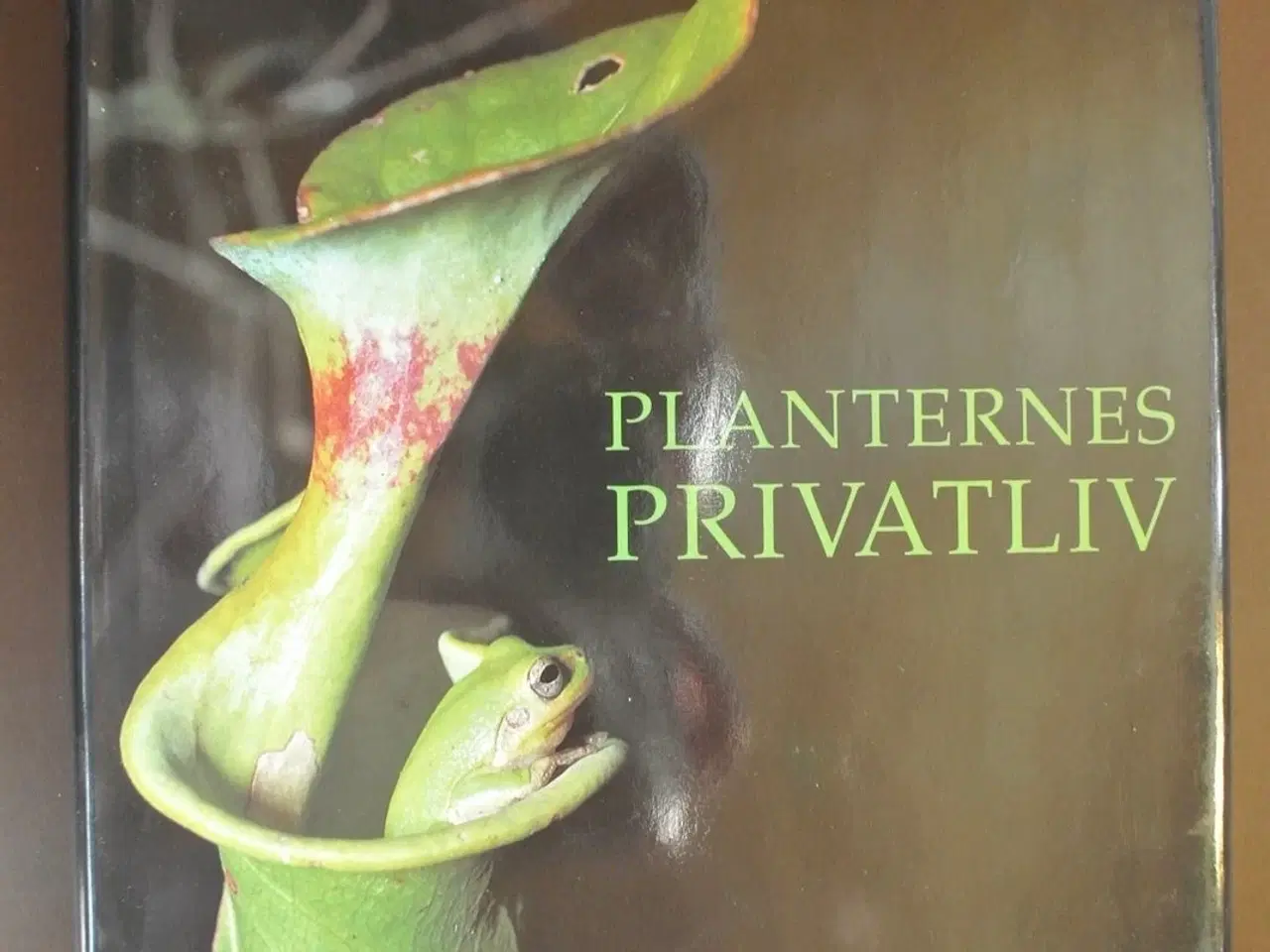 Billede 1 - planternes privatliv, af david attenborough