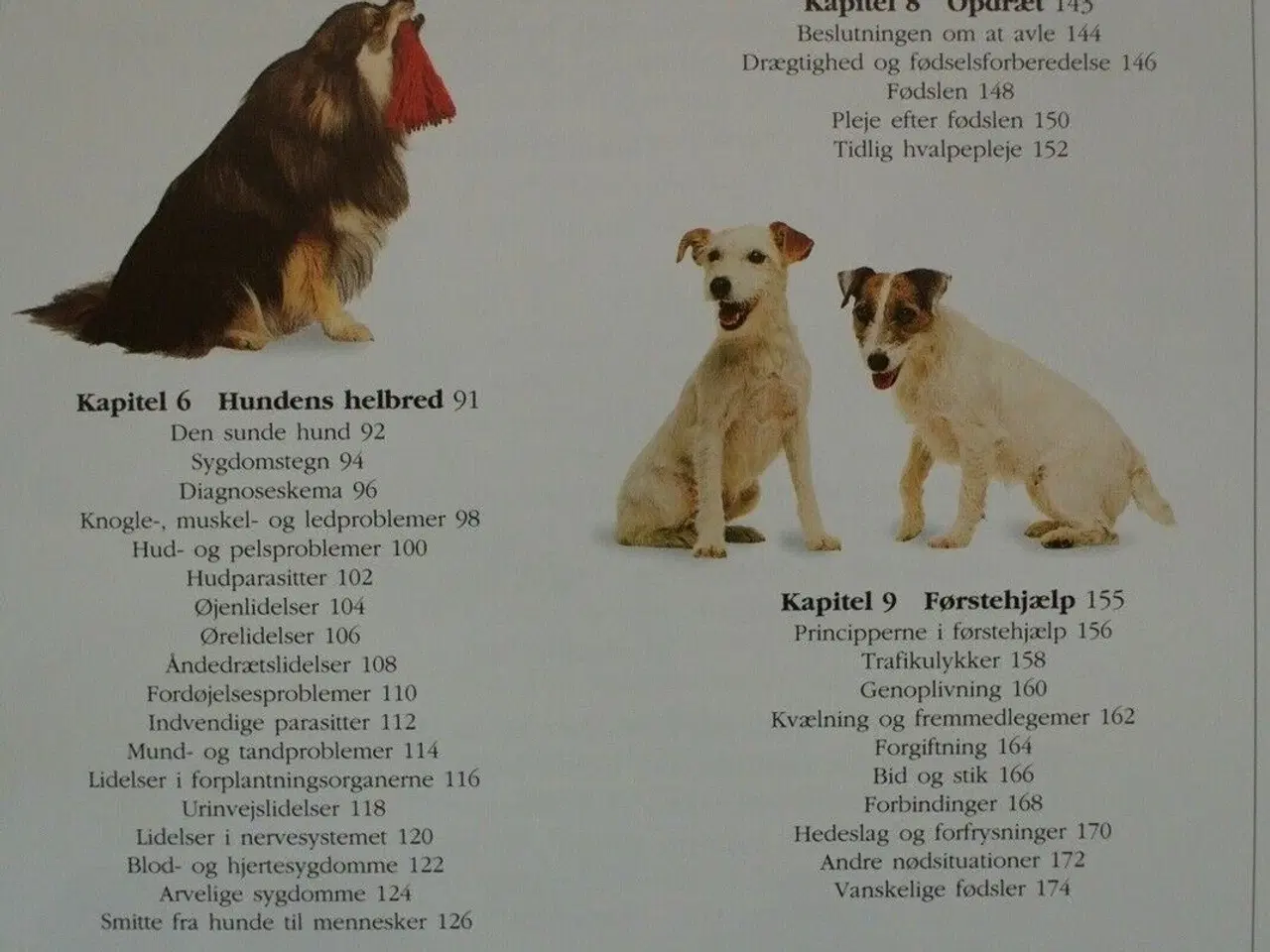Billede 3 - hundehåndbogen - pasning, pleje, opdragelse