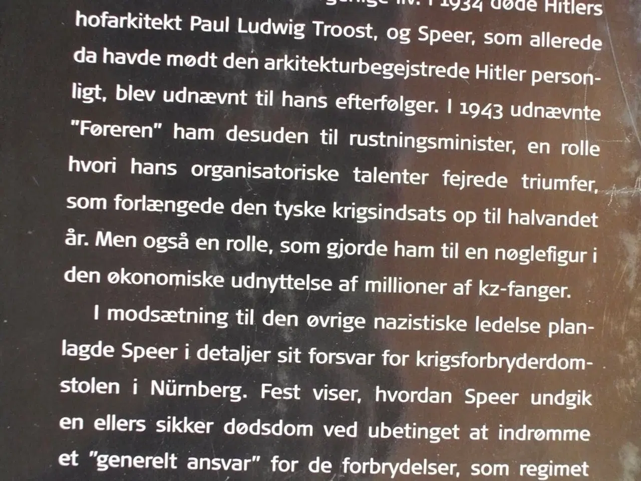 Billede 4 - speer. en biografi, Af joachim fest, genre: biogra