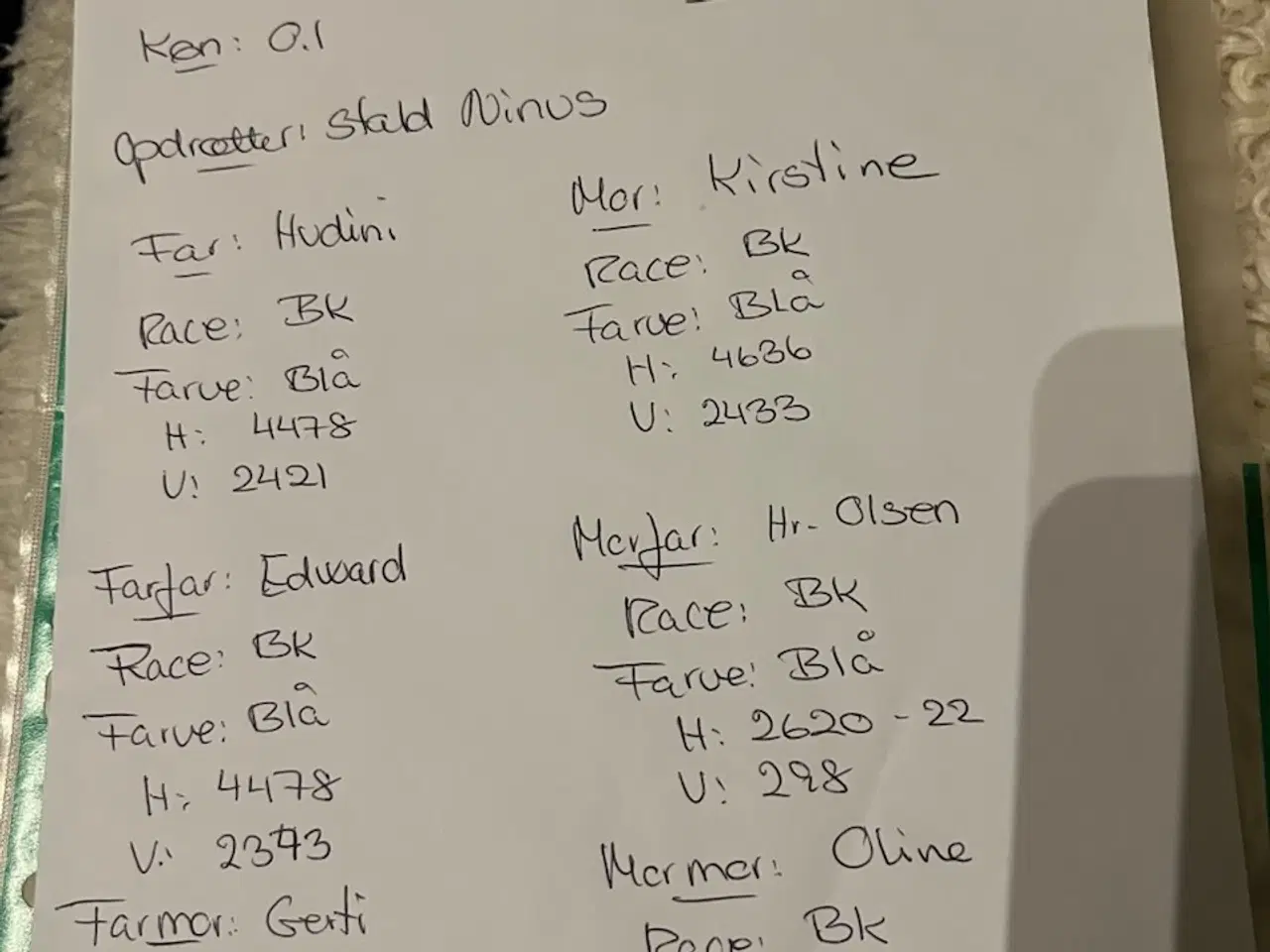 Billede 1 - Harekillinger 5 Stk.