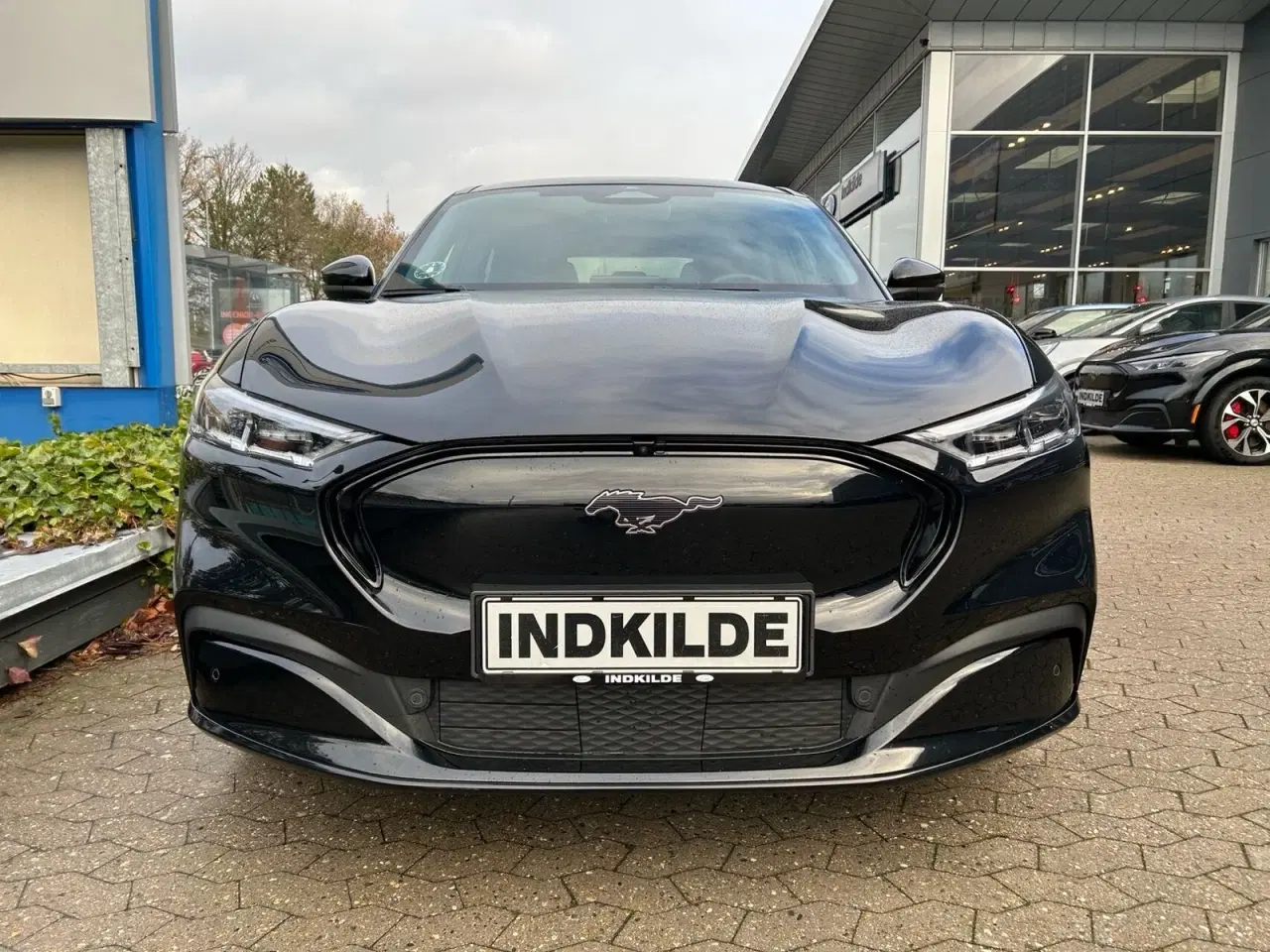 Billede 3 - Ford Mustang Mach-E 98 Premium Extended Range