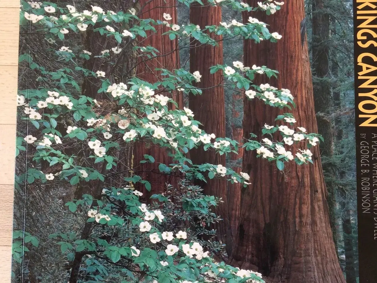Billede 1 - Sequoia & Kings Canyon