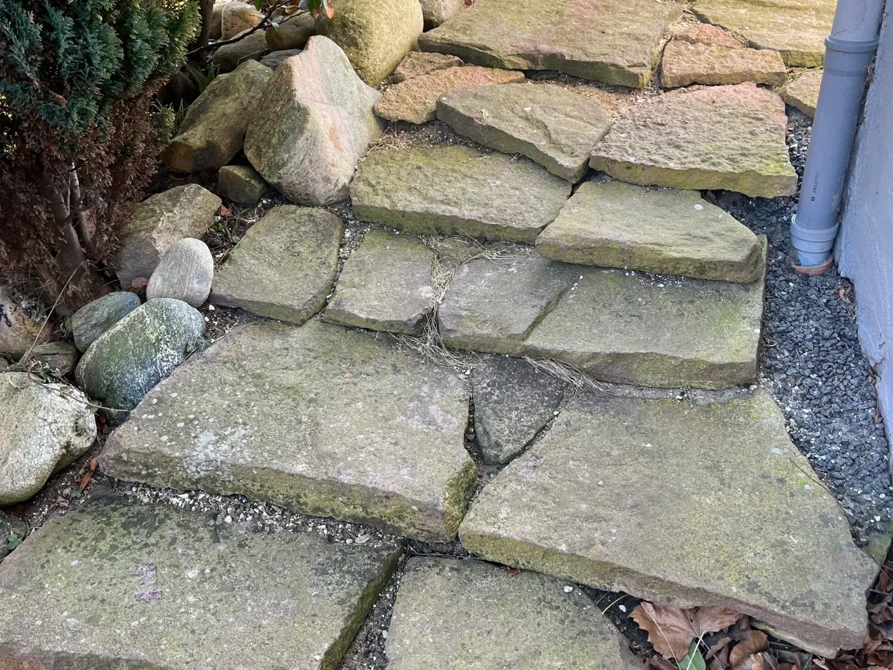 Billede 3 - Ølandsbrud