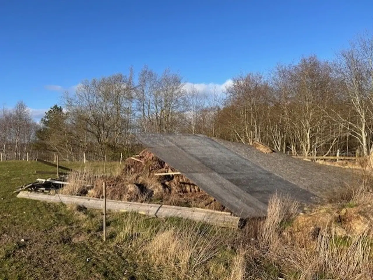 Billede 1 - GRATIS TRÆ og hegnspæle mv