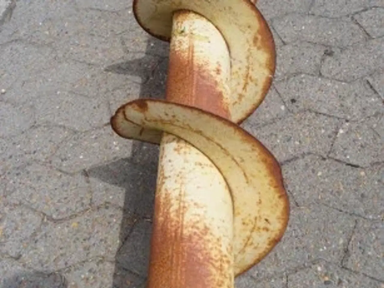 Billede 18 - New Holland TX68 Tømmesnegl til Rep 84056827