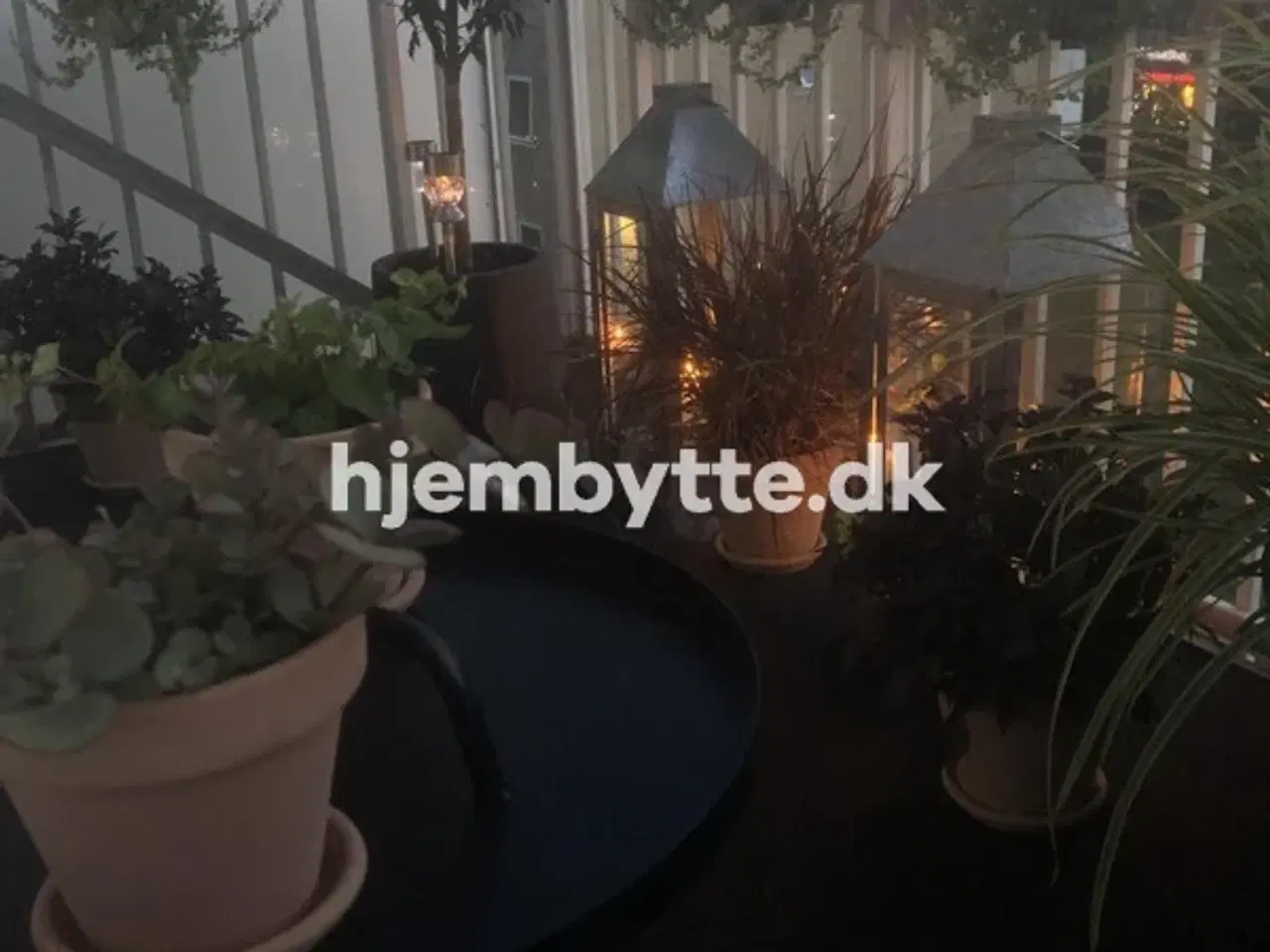 Billede 2 - Hjembytte - Kobbervej
