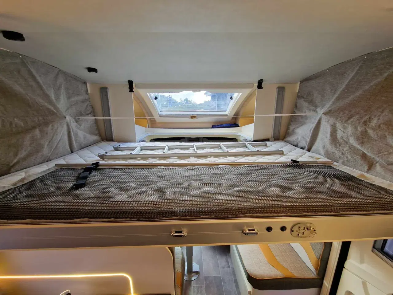 Billede 13 - 2025 - Ahorn Canada TE