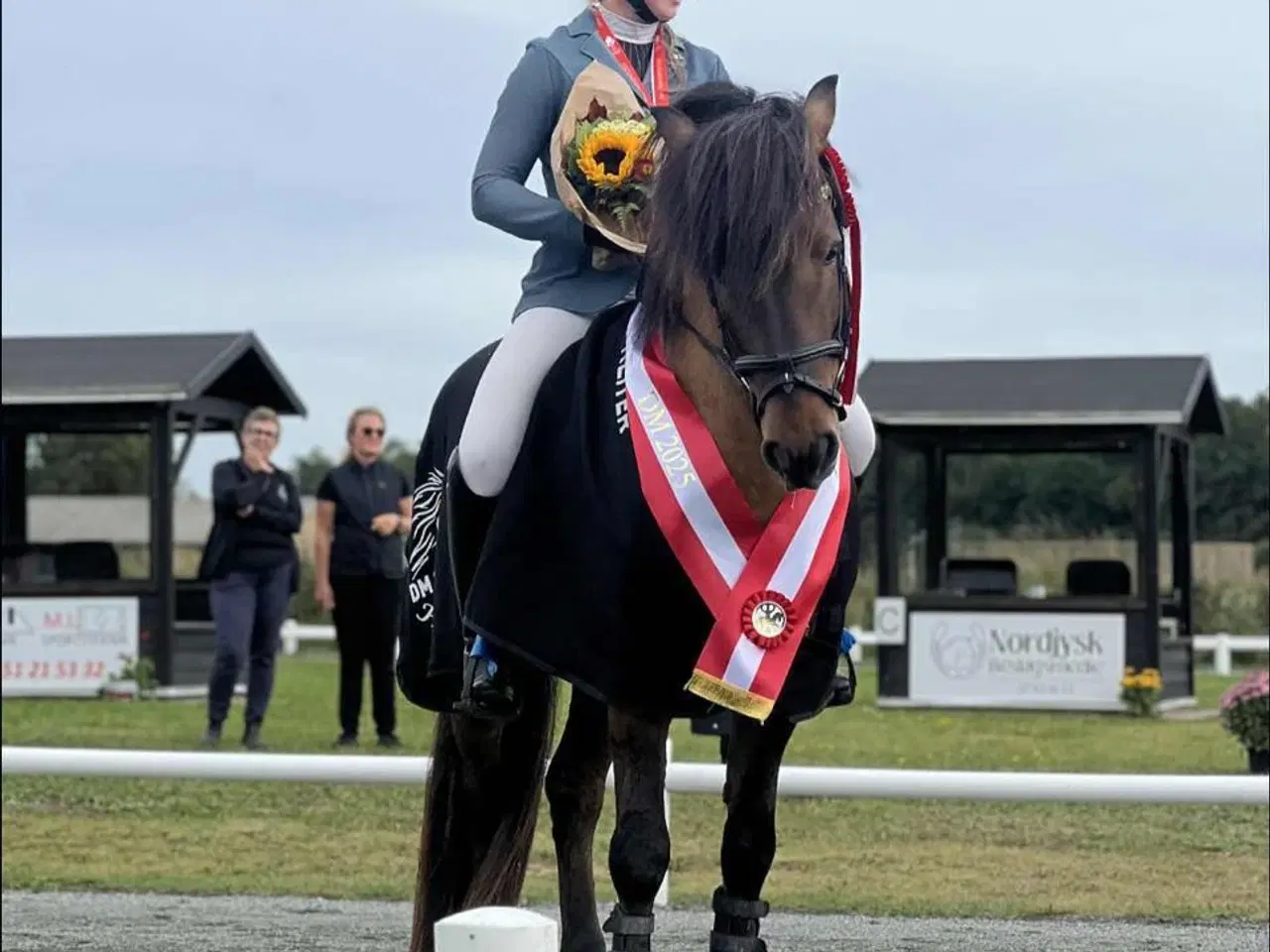 Billede 1 - Træning og tilridning af ponyer og islændere 