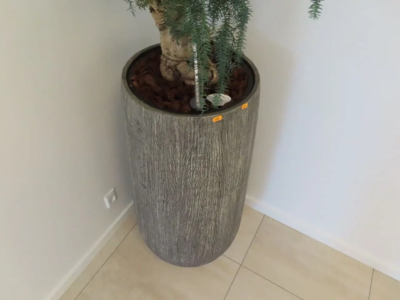 Billede 3 - Plante i krukke