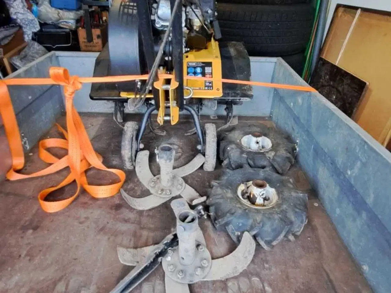 Billede 4 - Fin texas lilli 534 fræser