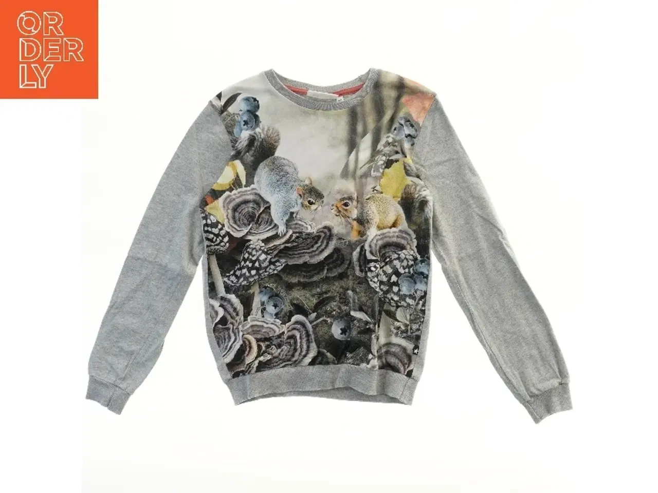 Billede 1 - Molo sweatshirt med naturprint (str. 140)