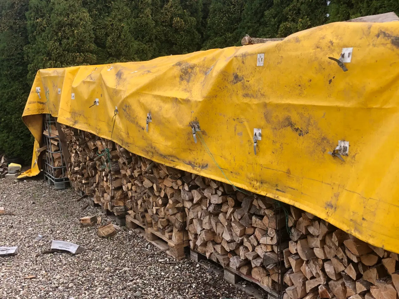 Billede 1 - Brænde  birk blandet med rødel. 60 rm 