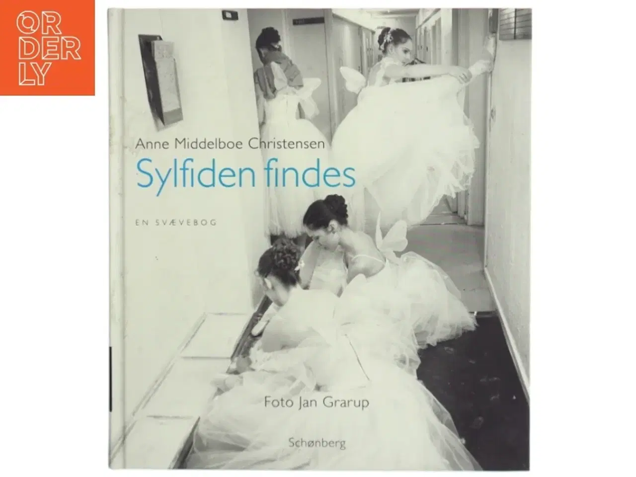 Billede 1 - Sylfiden findes : en svævebog (Bog)