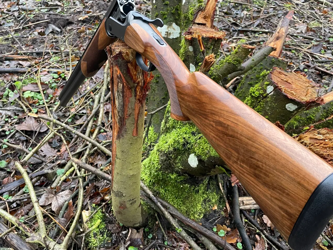 Billede 3 - Blaser f16 71cm 