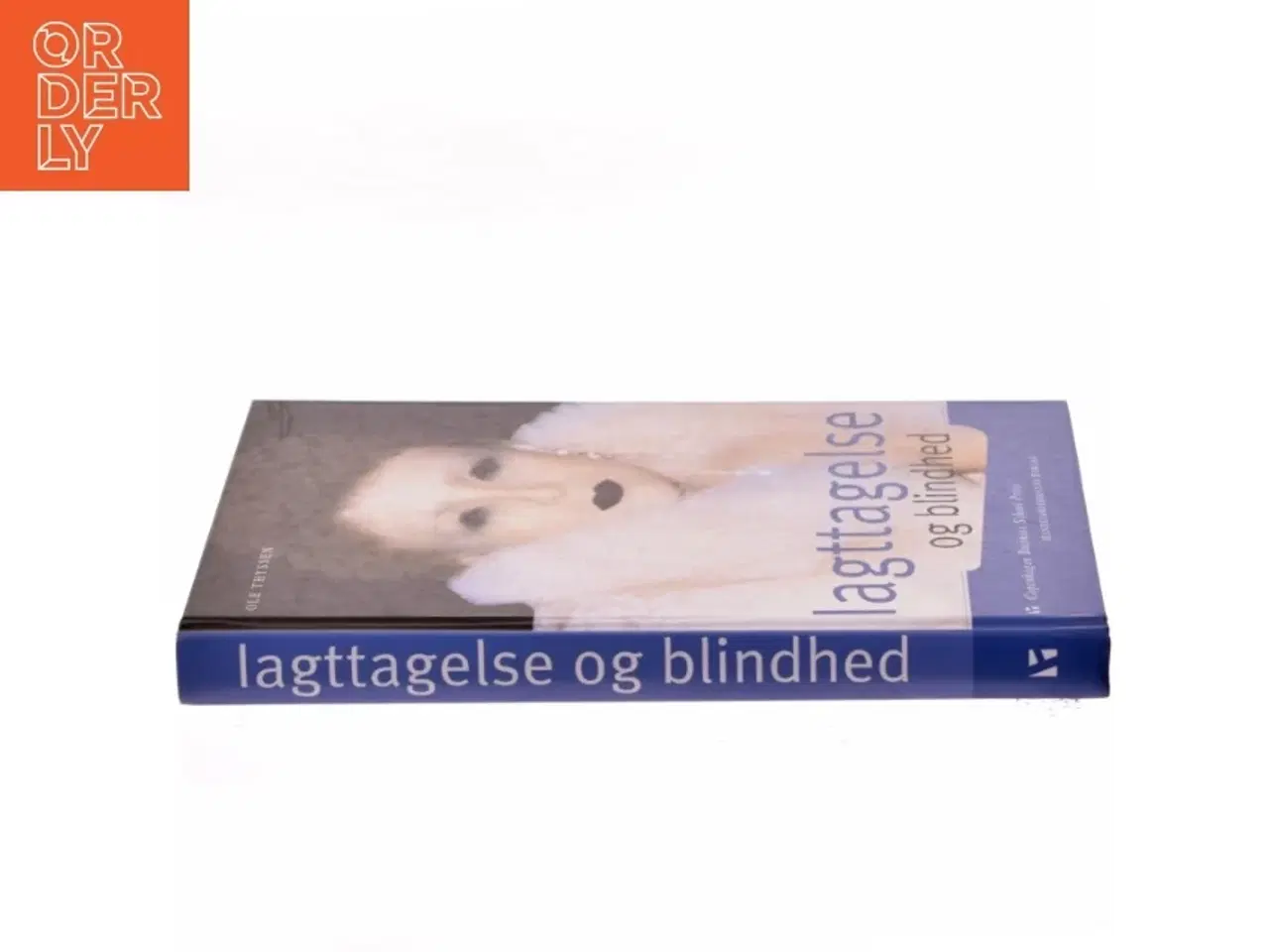 Billede 2 - Iagttagelse og blindhed : om organisation, fornuft og utopi af Ole Thyssen (Bog)