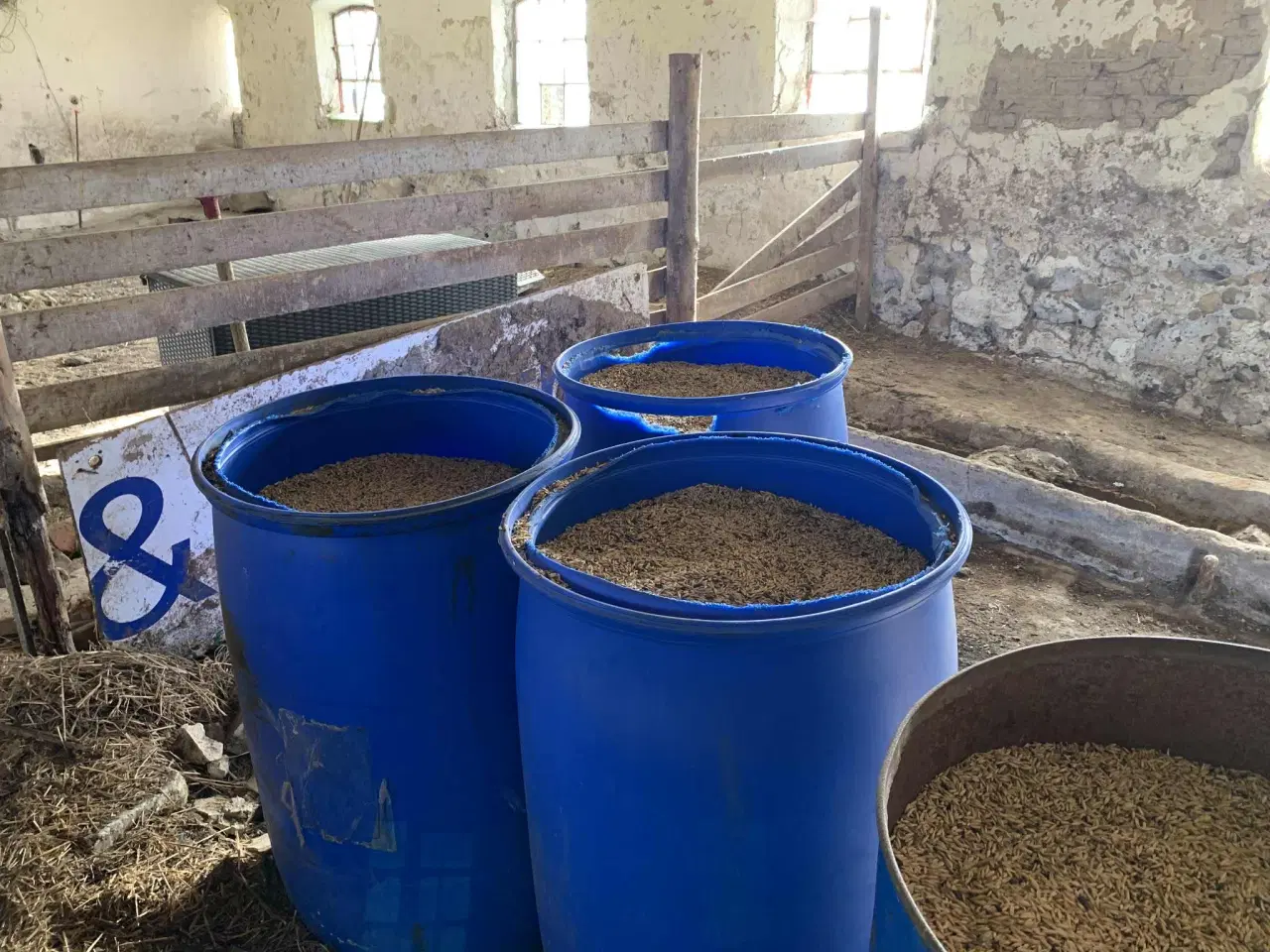 Billede 1 - Korn/havre i tønder