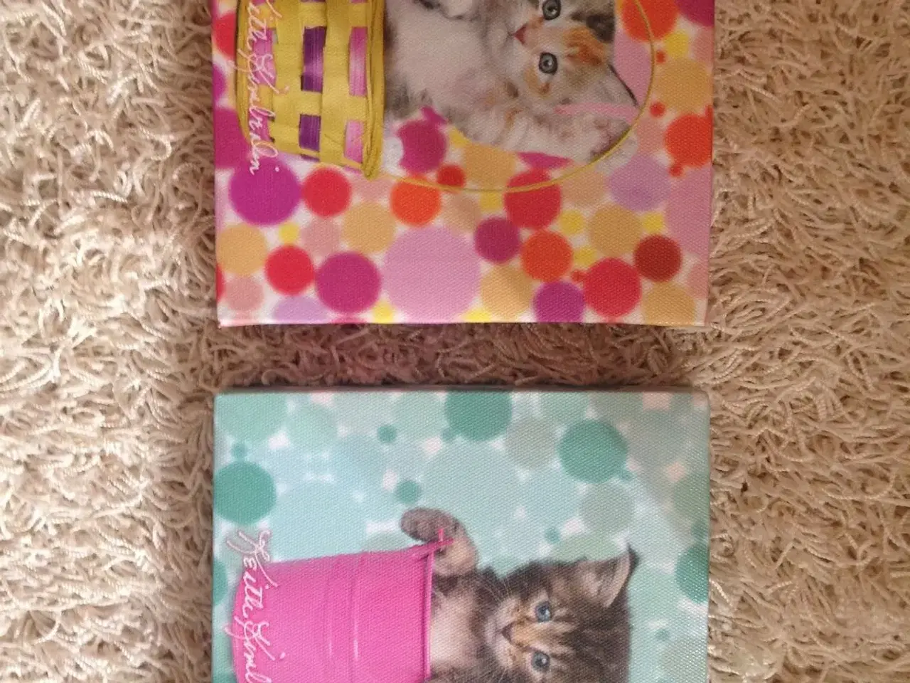 Billede 1 - 2 søde kattebilleder