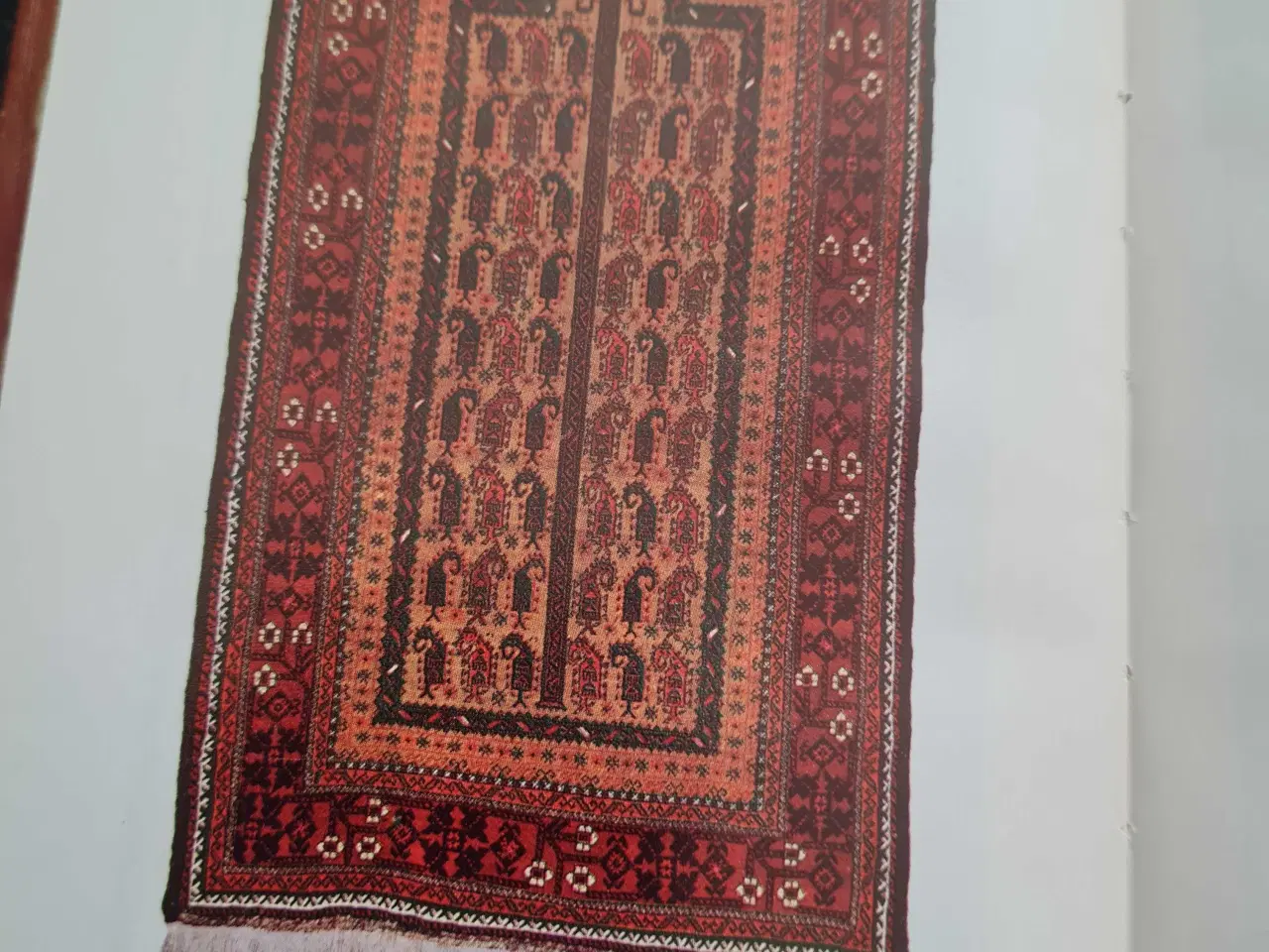 Billede 3 - Tæpper i farver