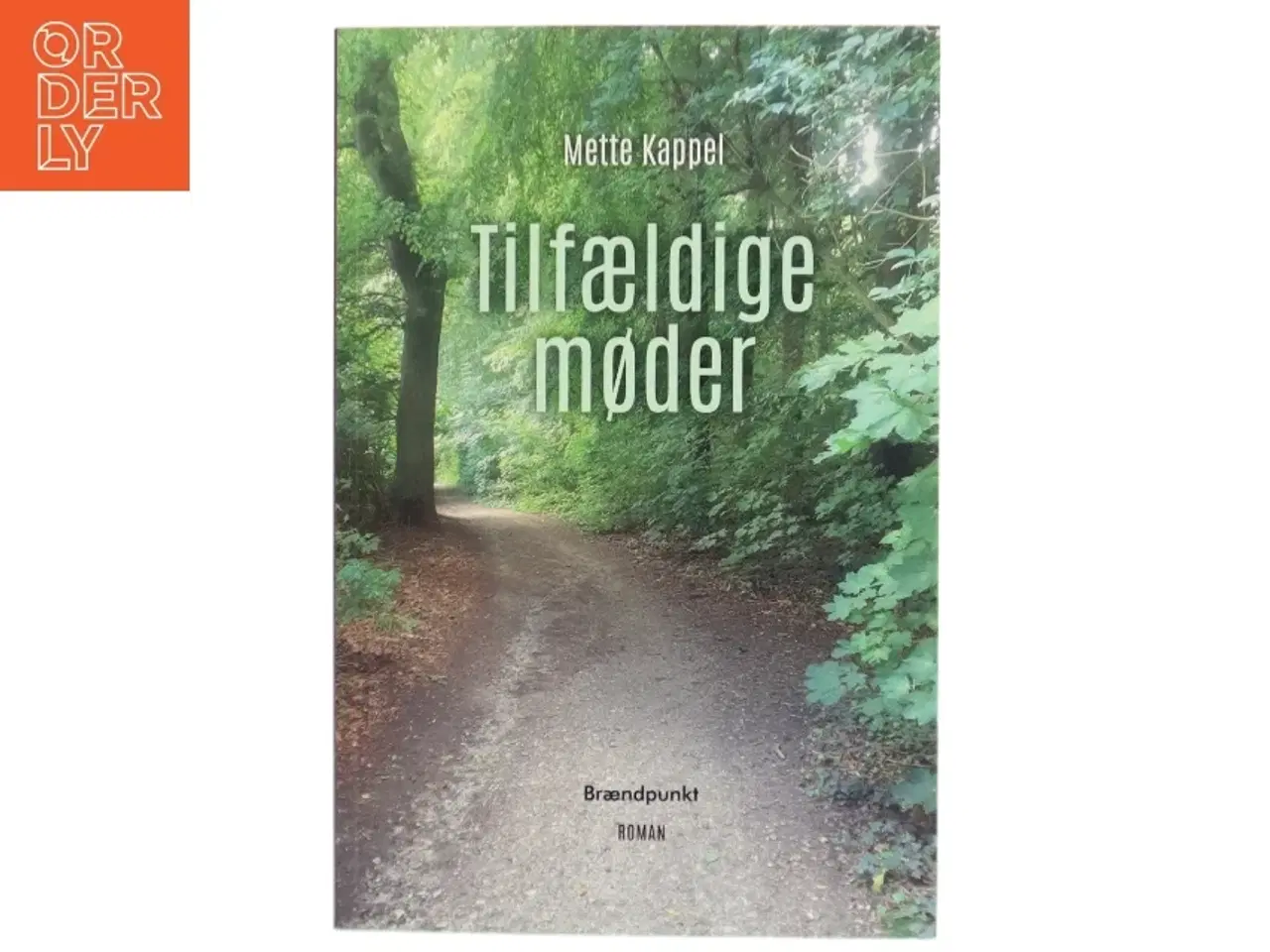 Billede 1 - Tilfældige møder : roman af Mette Kappel (Bog)