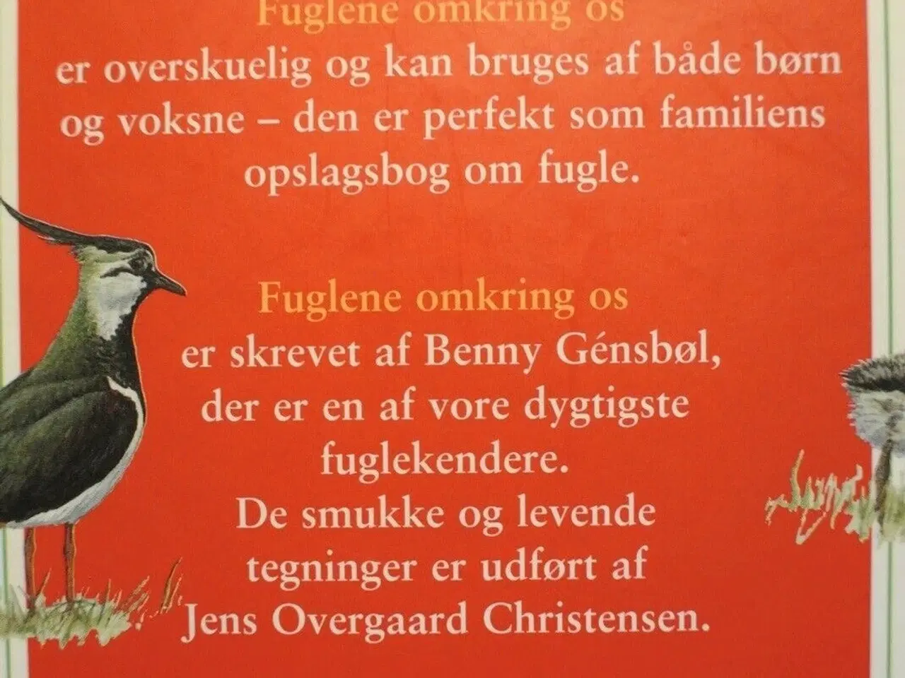 Billede 2 - fuglene omkring os, Af benny gensbøl. ill. af jens