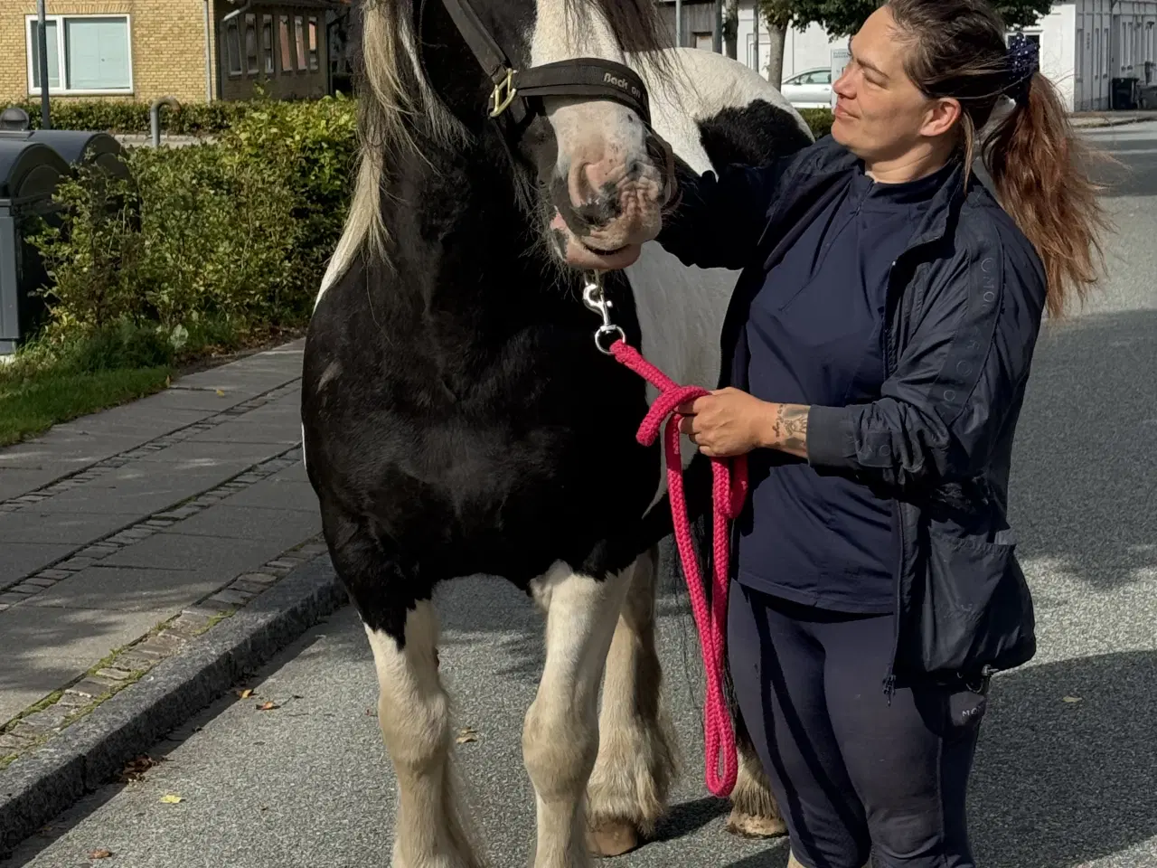Billede 2 - Lækker kone hest