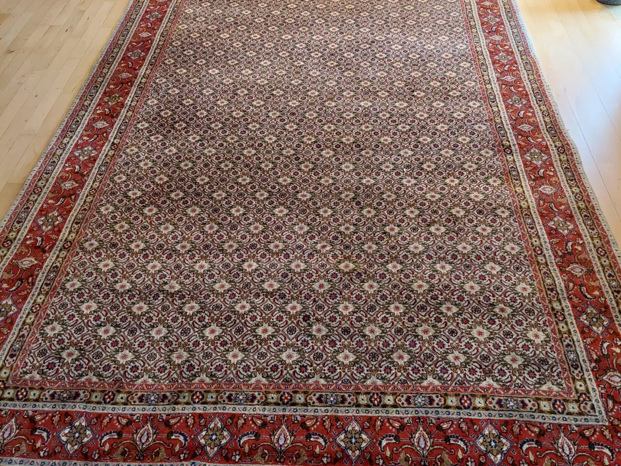 Billede 2 - Flot persisk Moud med silke