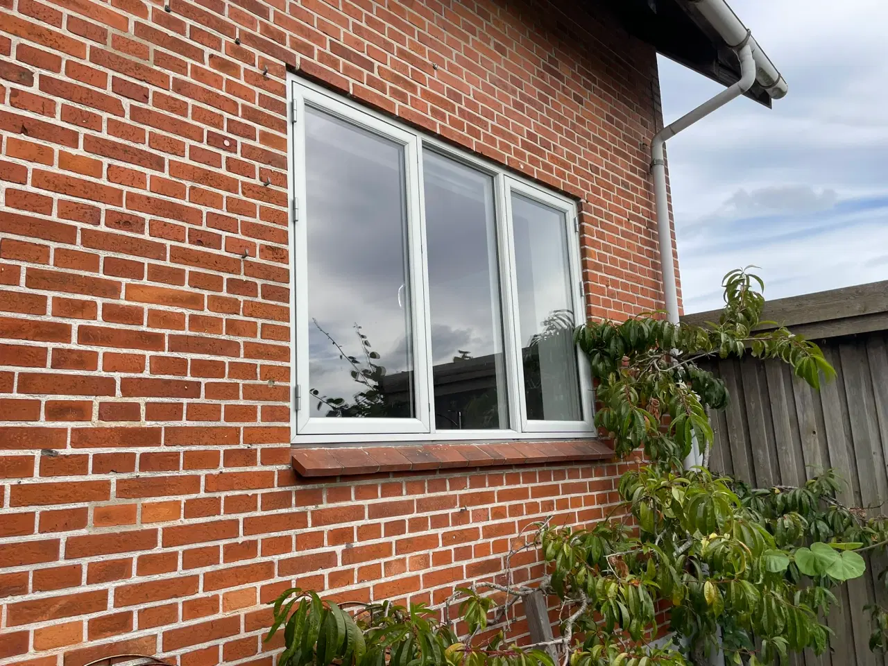 Billede 2 - 22 vinduer træ/alu & 3 døre (se billede)