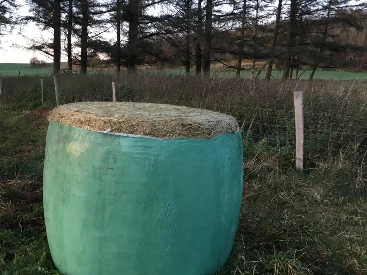 Billede 2 - Tørt wrap hø