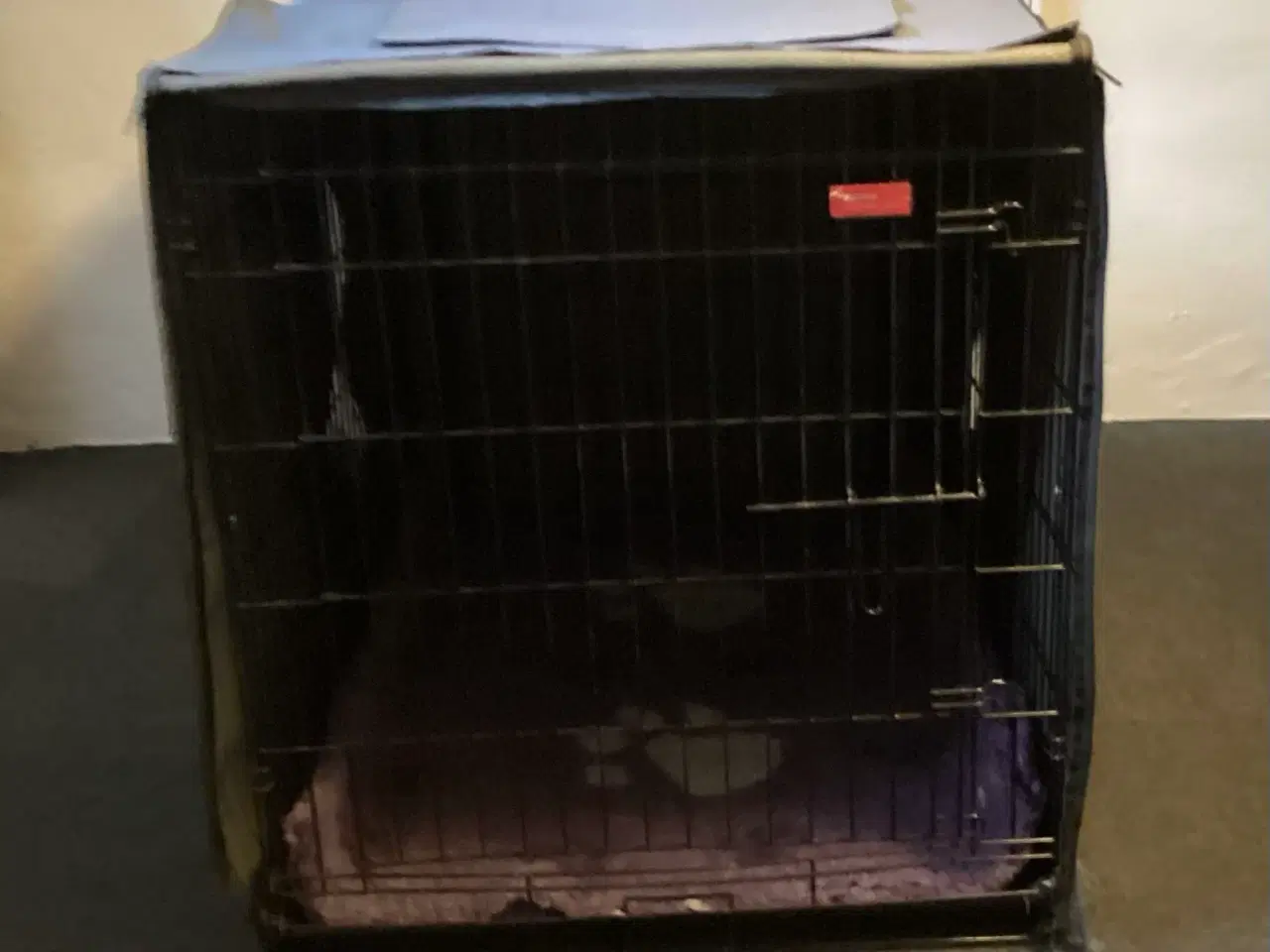 Billede 3 - DOGMAN XXL stålbur med org Dogman Premium overtræk