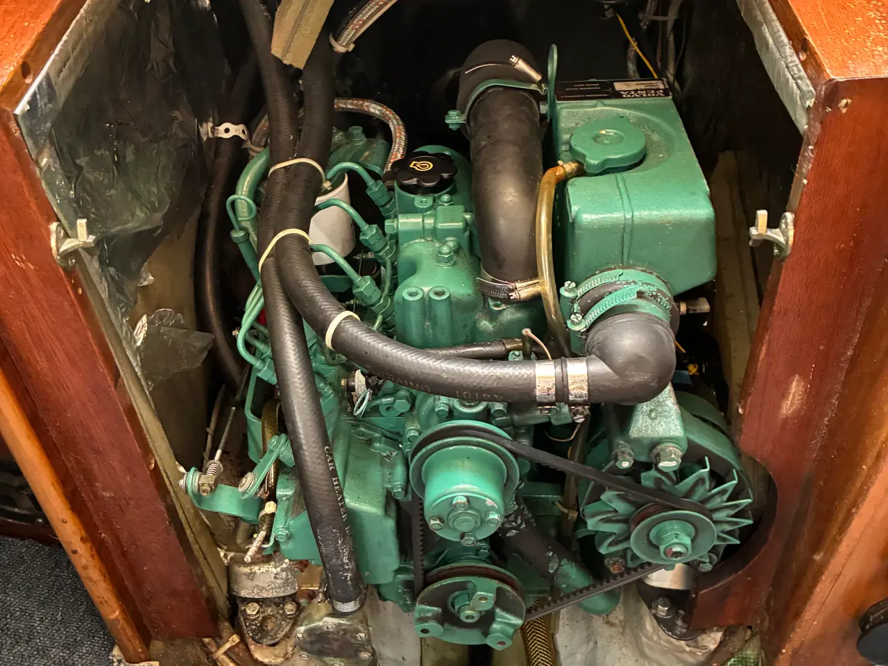 Billede 6 - Blue Dane 32